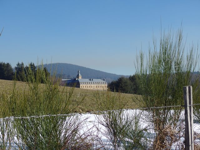 IMGP5166