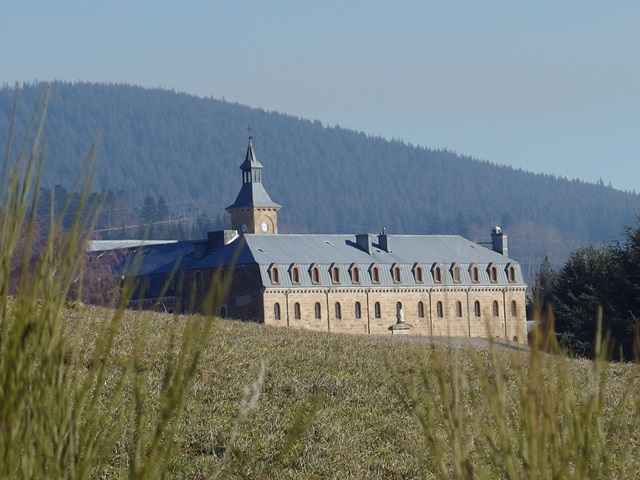IMGP5167