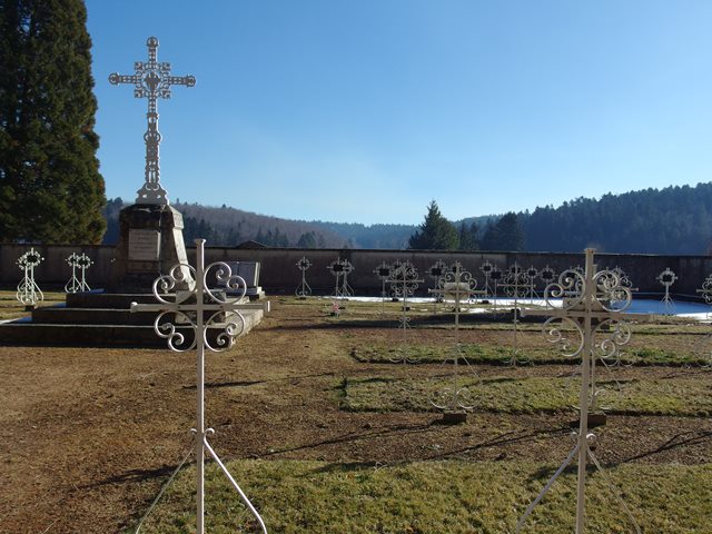 IMGP5174