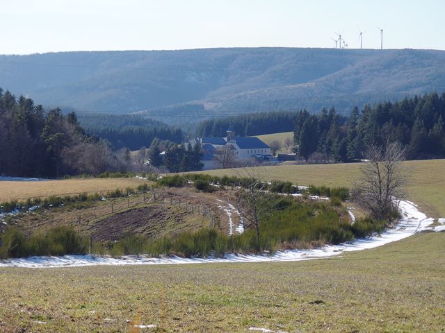 IMGP5224