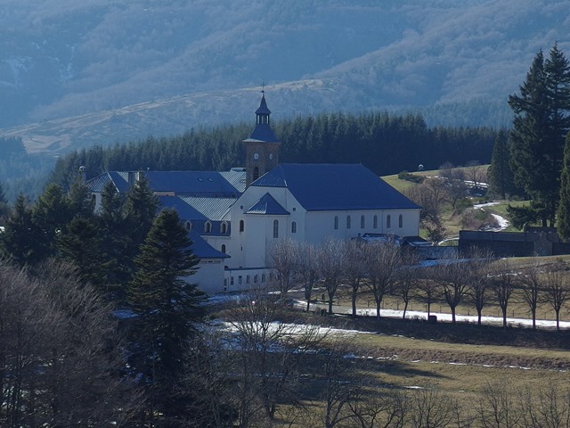 IMGP5230